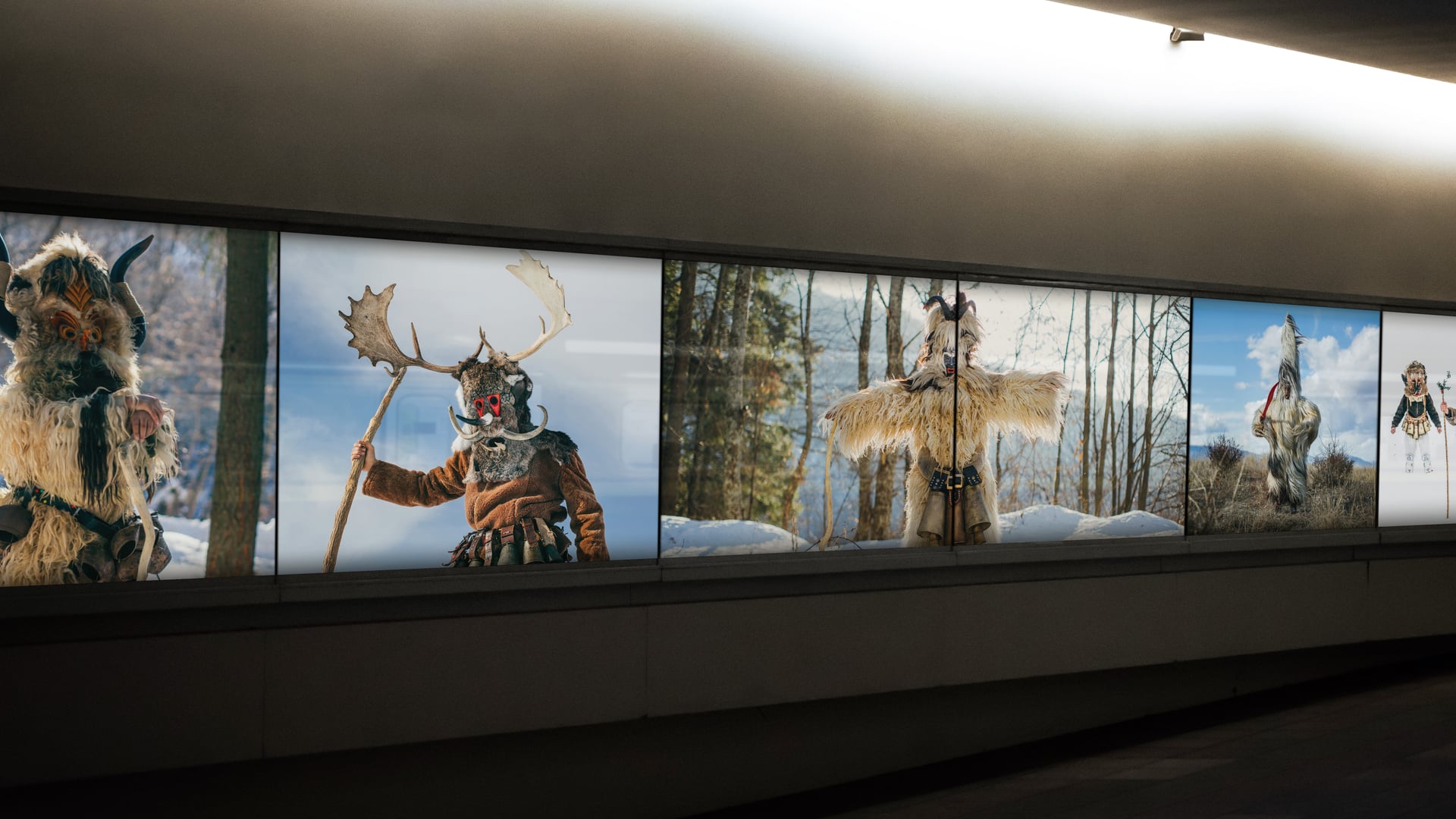 Programmatic & native реклама - проектно изображения от ZurichSofia